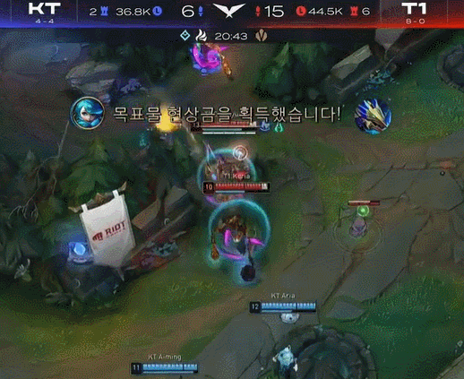 家的运动员 家的运动员